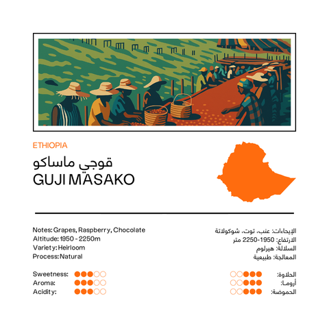 Guji Masako | Ethiopia