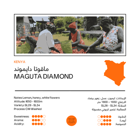 Maguta Diamond | Kenya