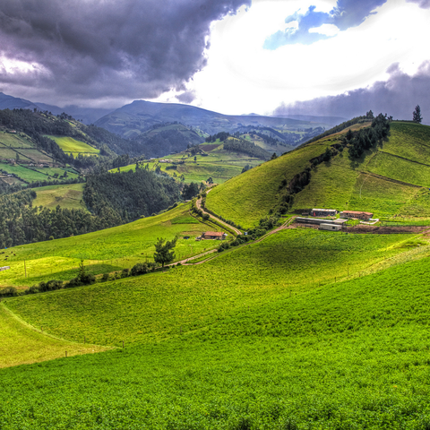 La Papaya Typica | Ecuador