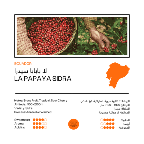 La Papaya Sidra | Ecuador (100G)