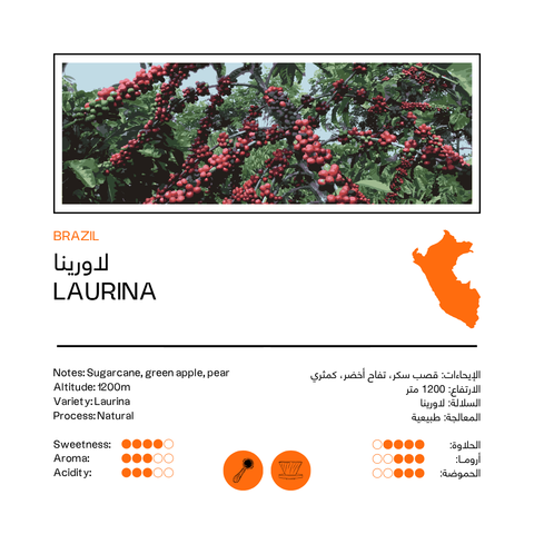 Laurina | Brazil (100G)