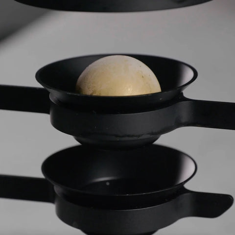 NUCLEUS Paragon Filter Chilling Rock