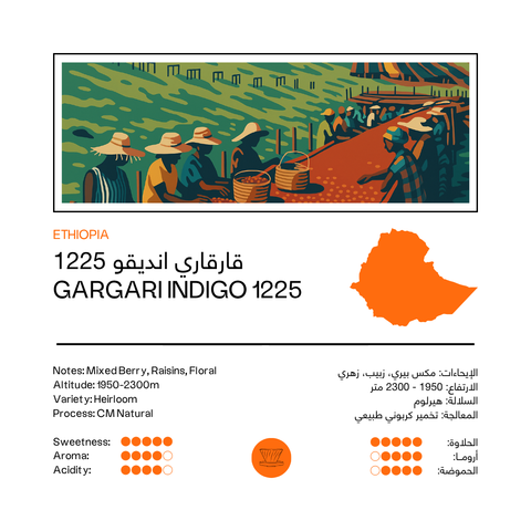 Gargari Indigo 1225 | Ethiopia