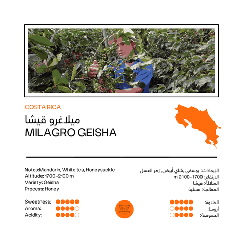 Milagro Geisha | Costa Rica (100G)