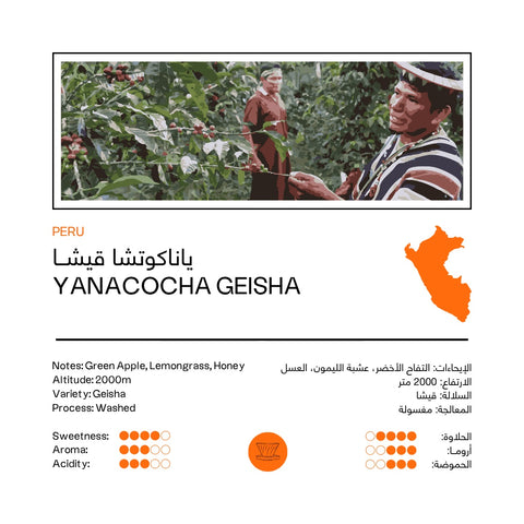 Yanacocha Geisha | Peru