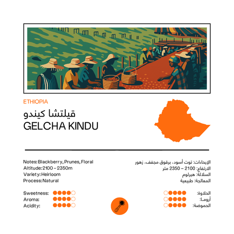 Gelcha Kindu | Ethiopia