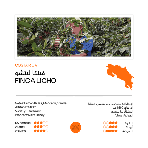 Finca Licho | Costa Rico