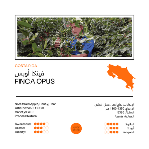 Finca Opus | Costa Rica