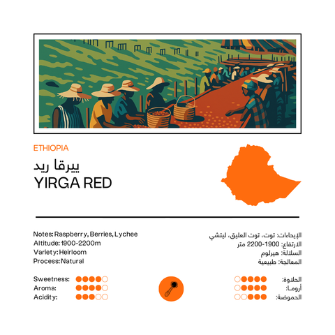 Yirga Red | Ethiopia