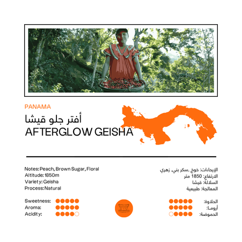 Afterglow Geisha | Panama (100G)