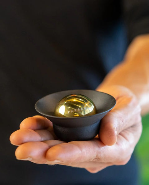 NUCLEUS Paragon Filter